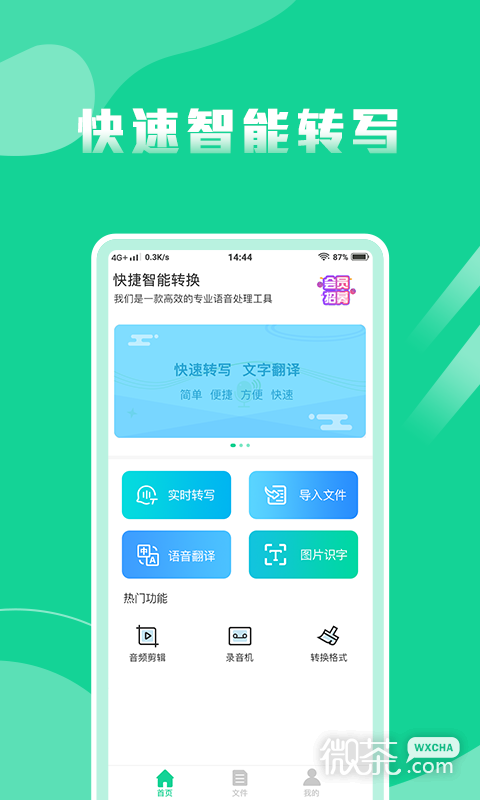 语音转换文字专家