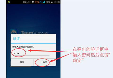 TeamViewer Host