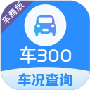 车300专业版安卓版下载