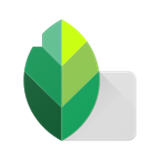 snapseed手机修图软件中文版app下载